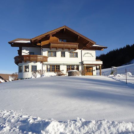 Asingerhof Hotel Schladming Luaran gambar
