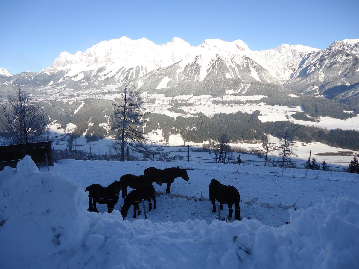 Asingerhof Hotel Schladming Luaran gambar